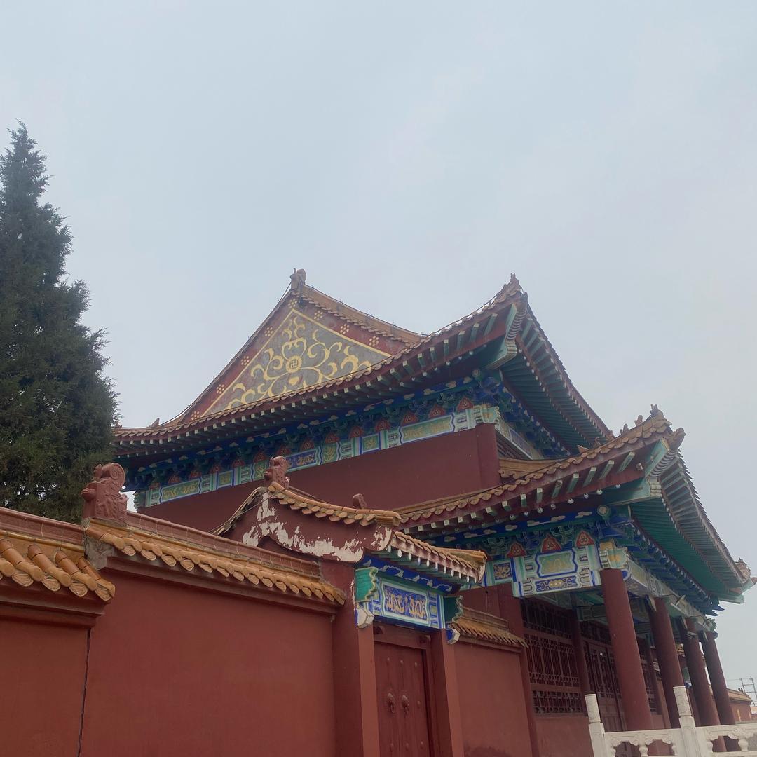 @道庶