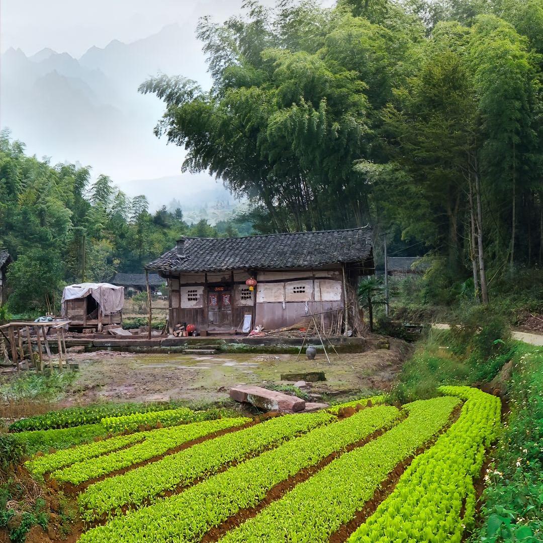 小馒头
