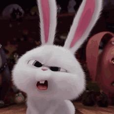 🐰、
