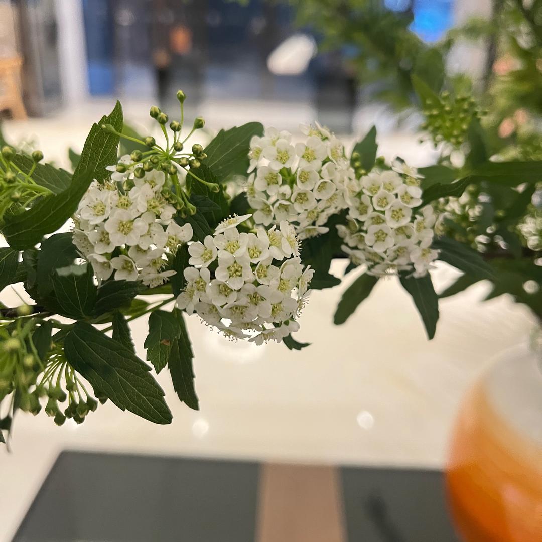 联辉商行广州糕添电子商贸店（个人独资）B直播号