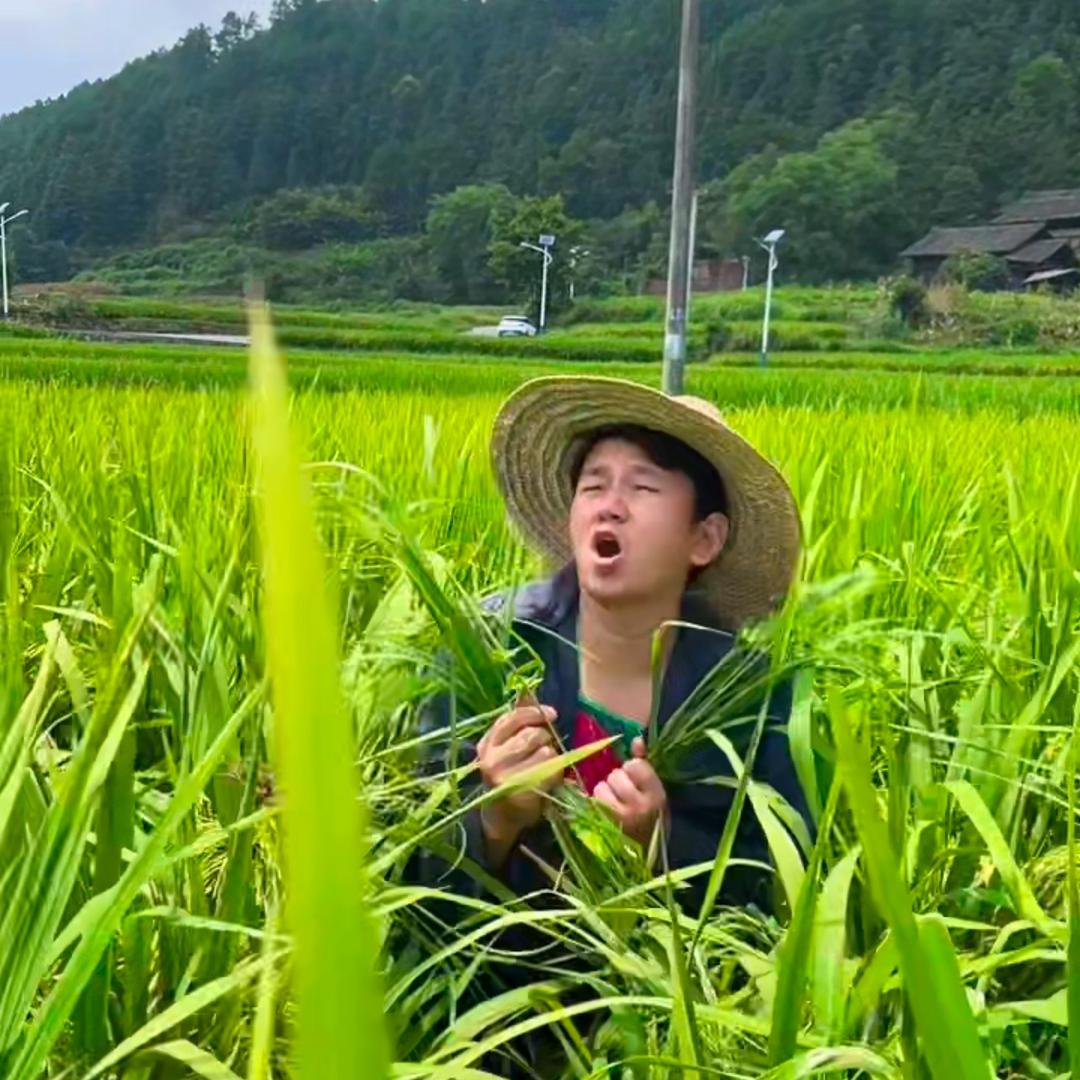 小隆锅