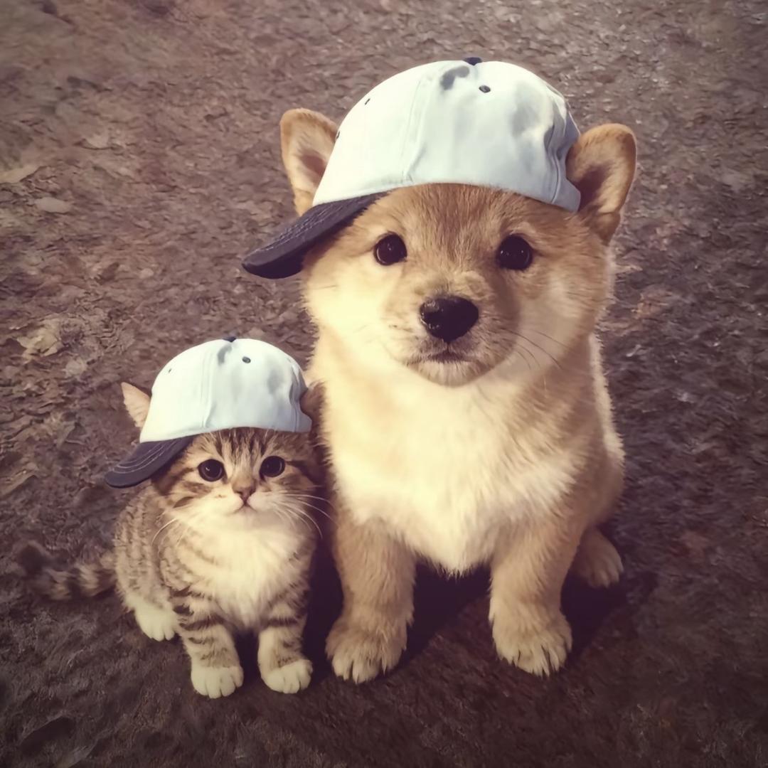 L1ll