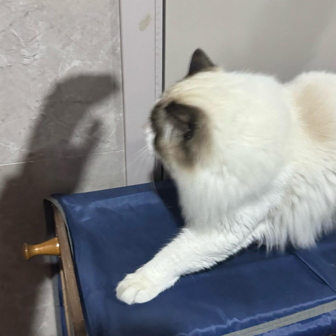 长安汽车全能王