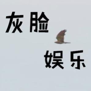 灰脸娱乐
