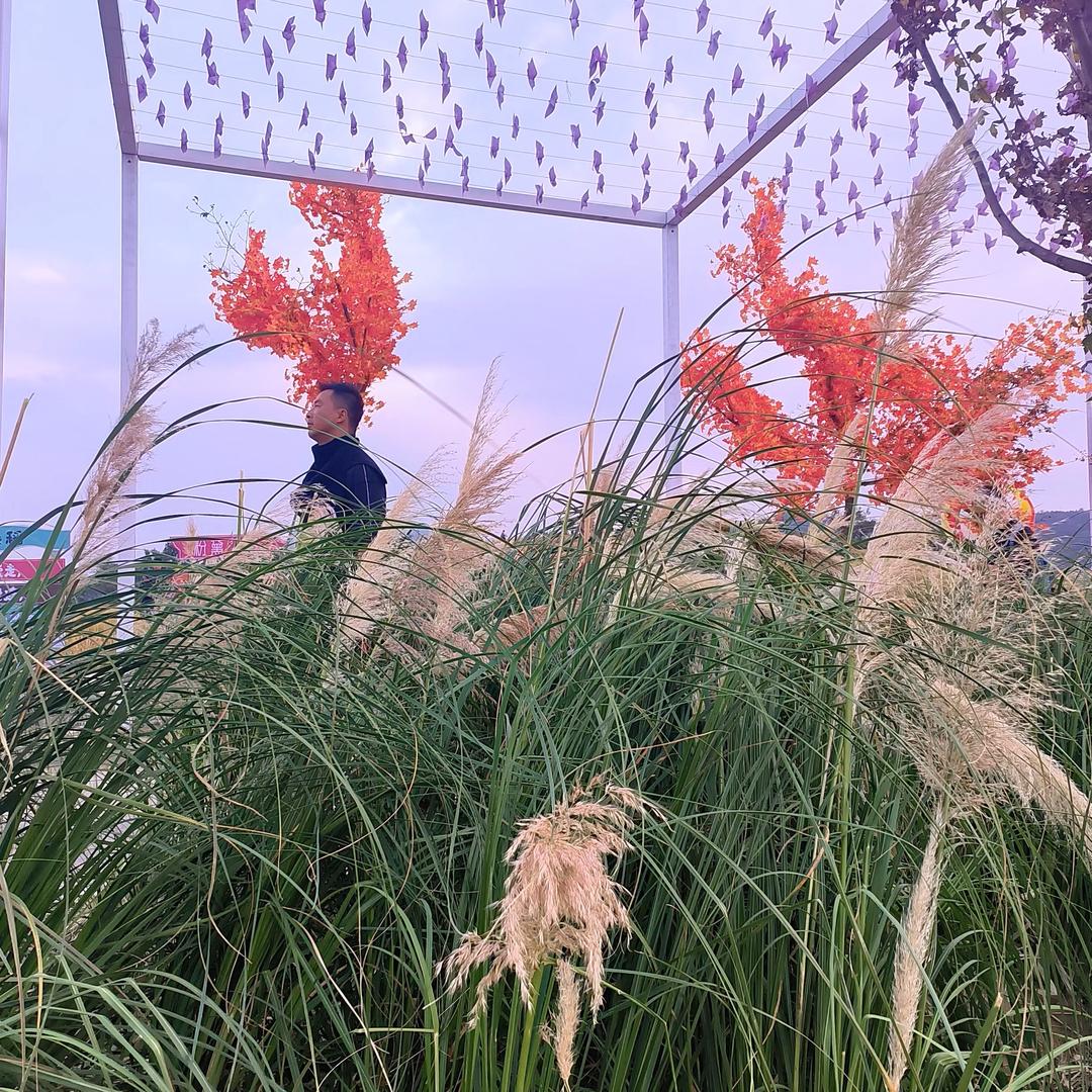 ྀི李❤️❤️ྀ