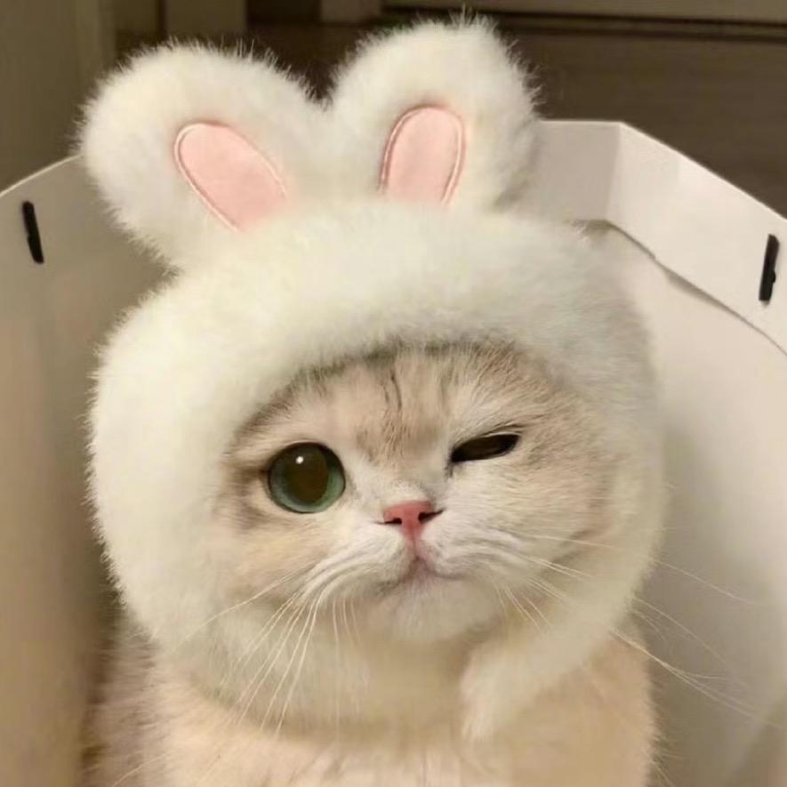 麋鹿同学🐾
