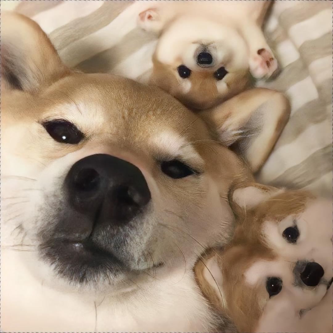 颜孜晨.
