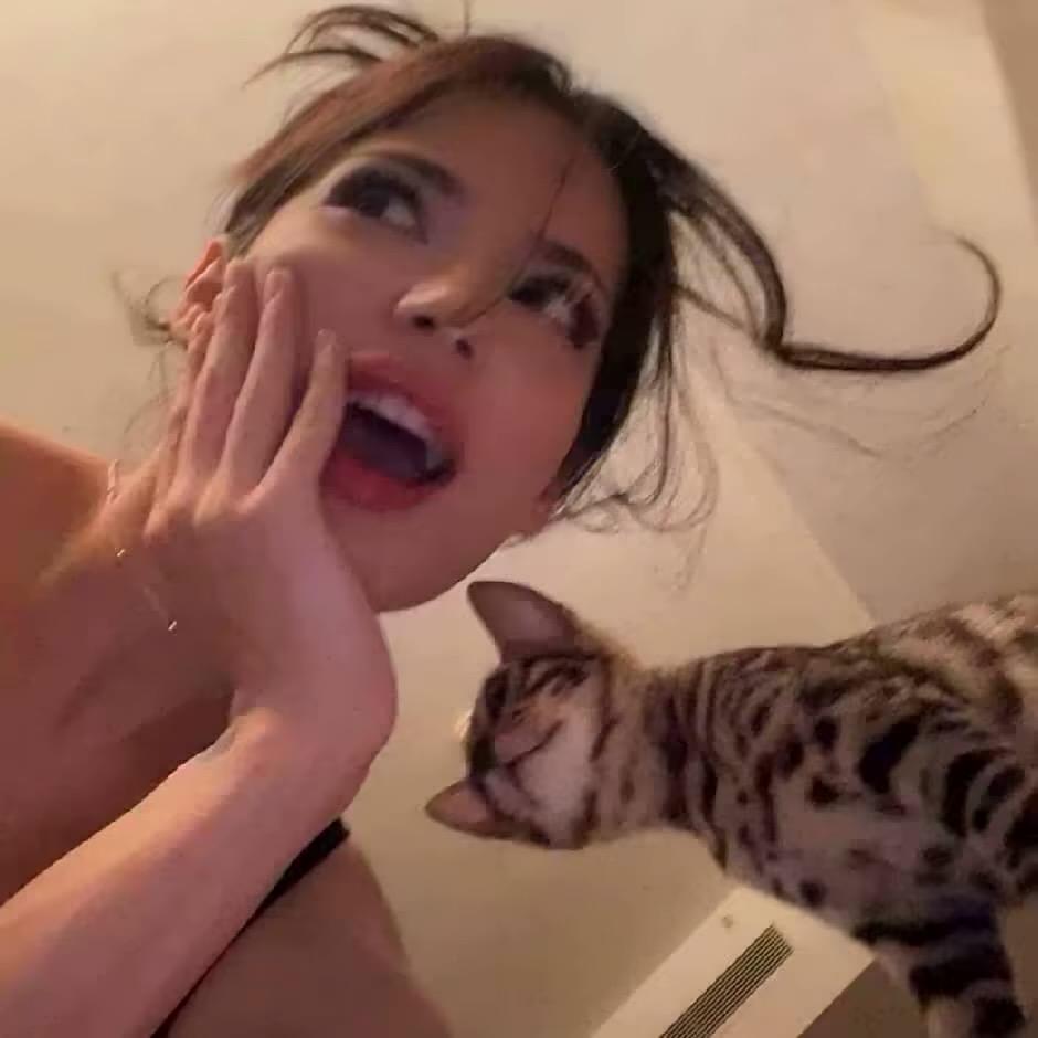 石头尔玛