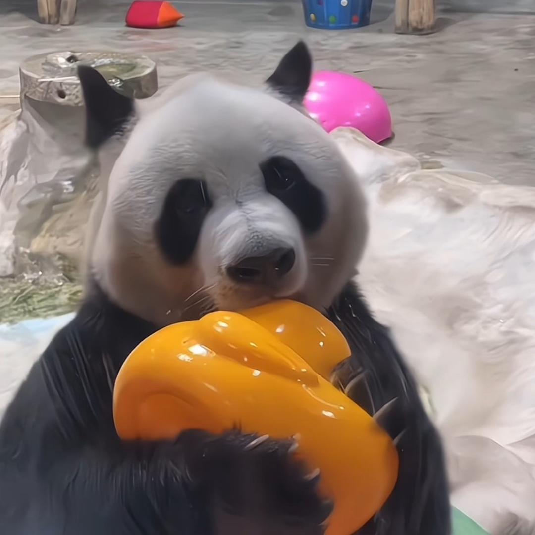 灵岩要抱抱