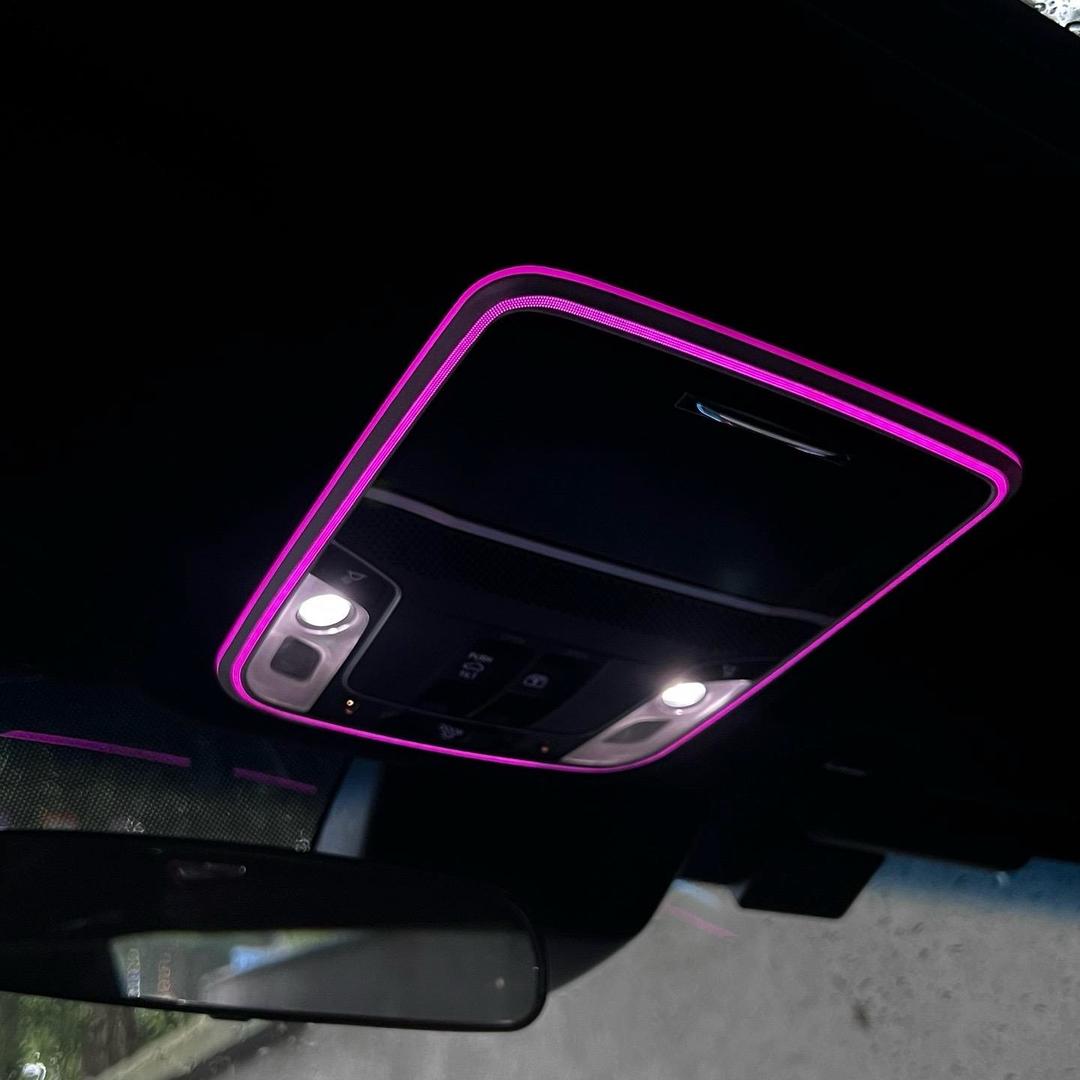 巨鹿朗逸𝑳𝒂𝒗𝒊𝒅𝒂🇨🇳