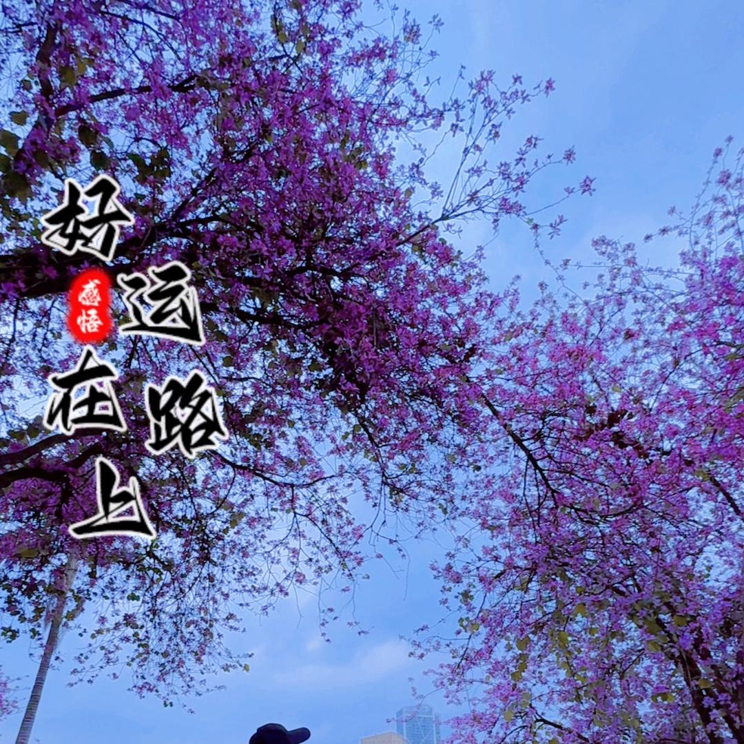 嘉为百货优品小铺