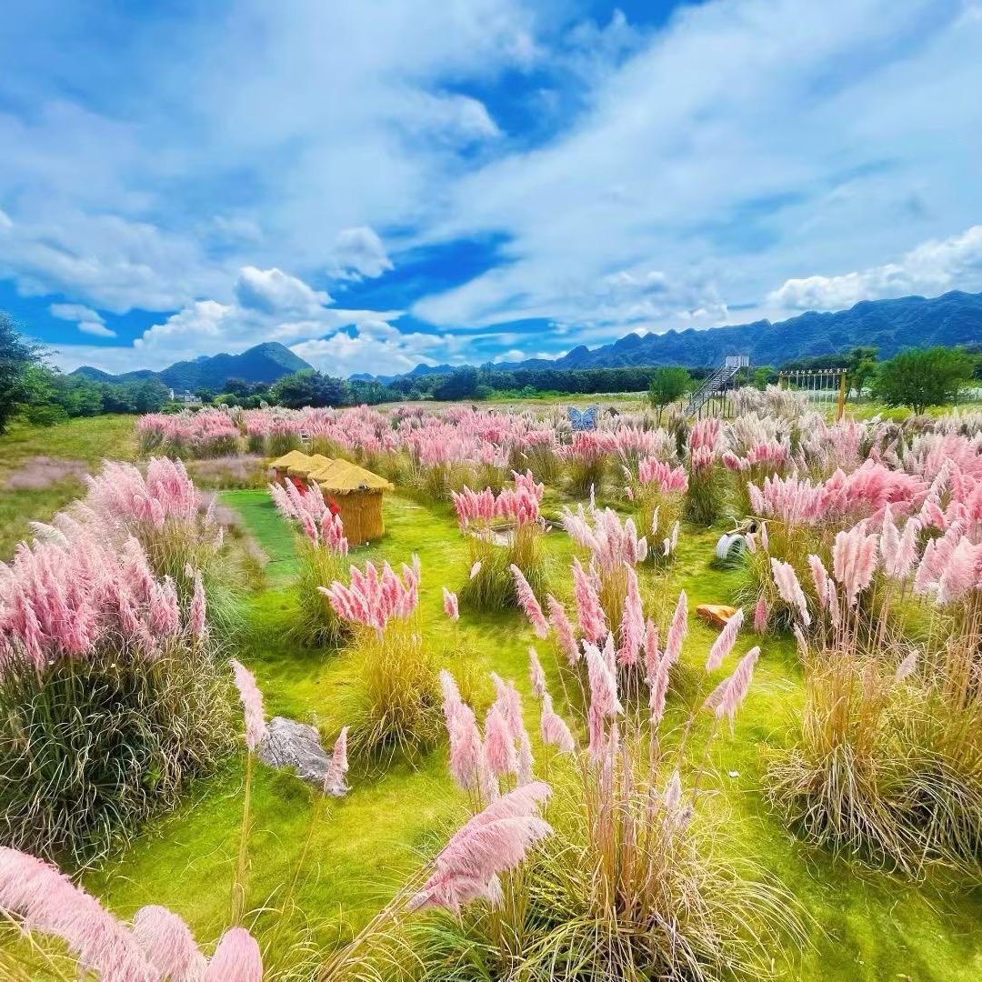 💞听এۣۖิ说糖很꧔ꦿ甜 ᭄: 💞