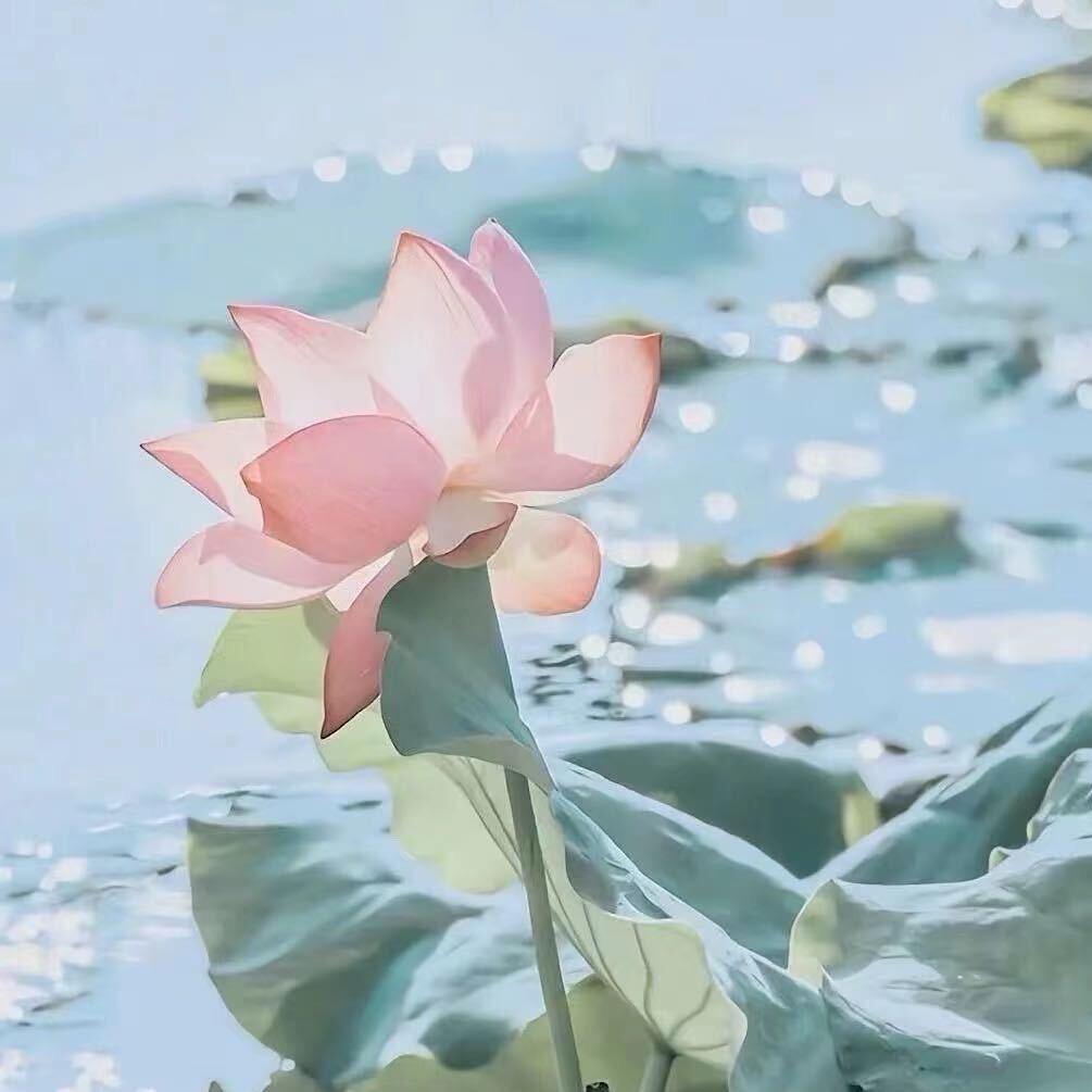 罐装冰块