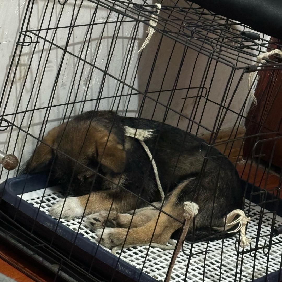 🌈我爱看山澜湖水