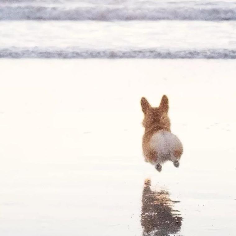 哈哈哈哈哈哈😂