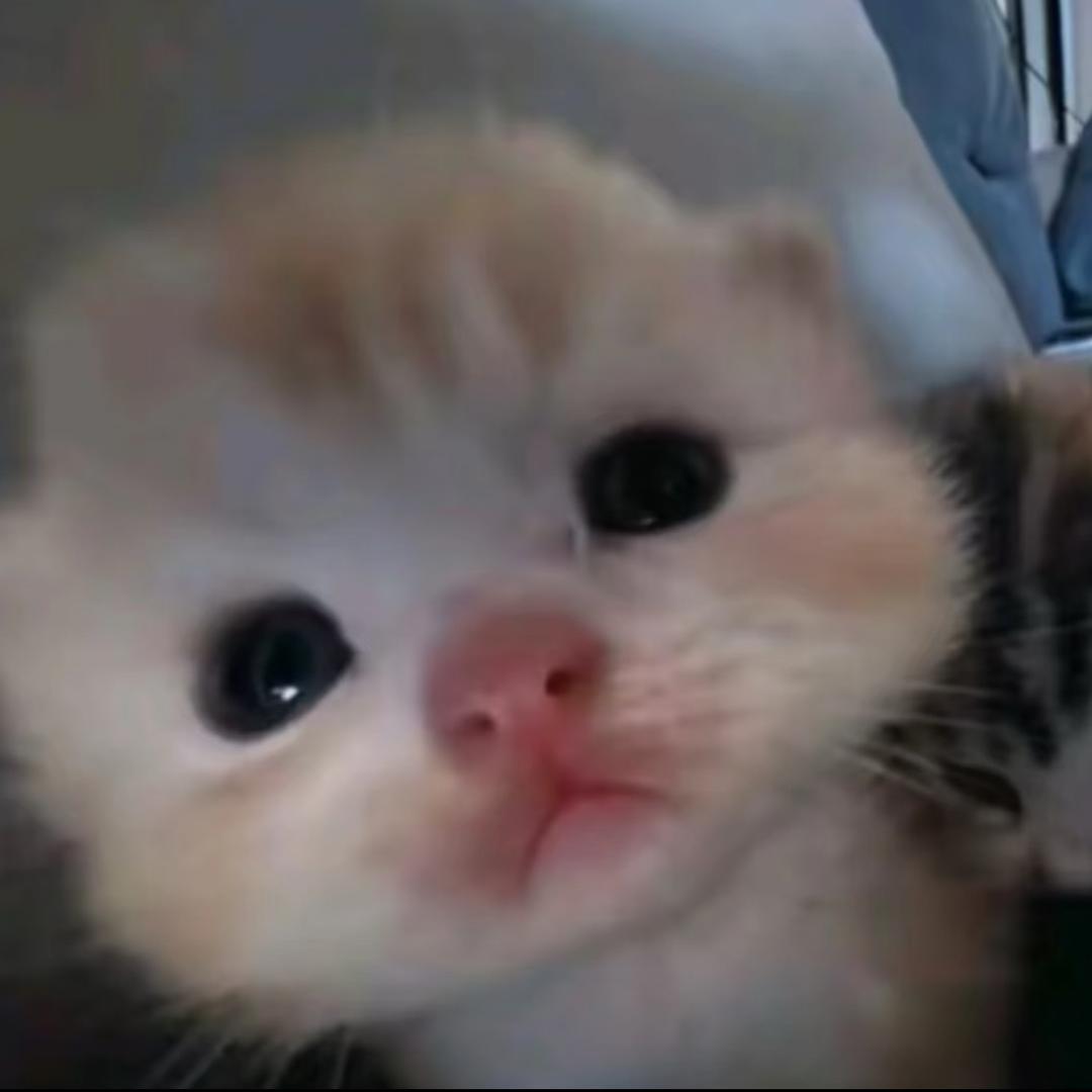 他的追追和心思一样敏感