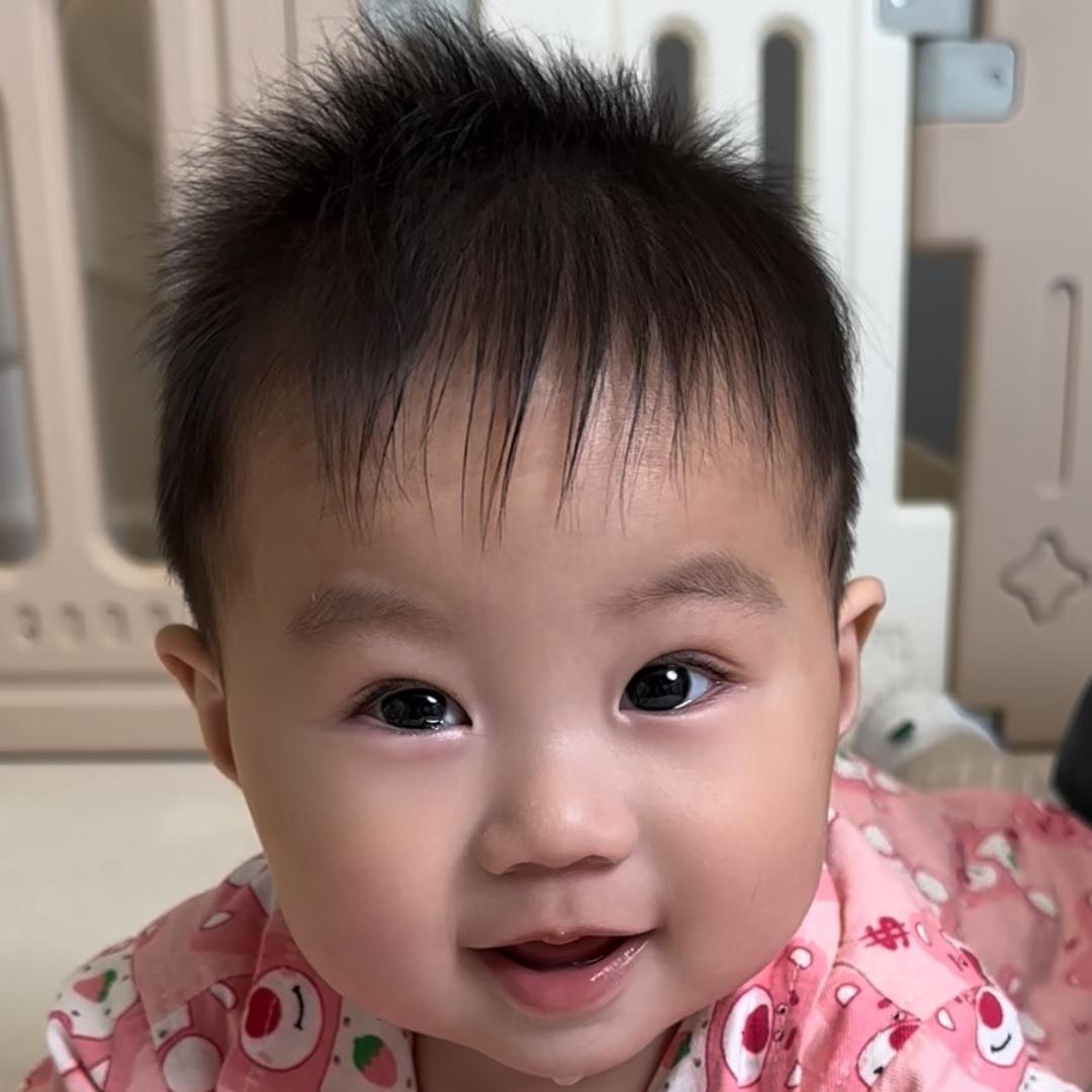二龙崽来了
