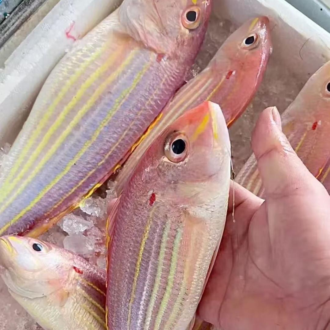 重生之我在北海卖海鲜