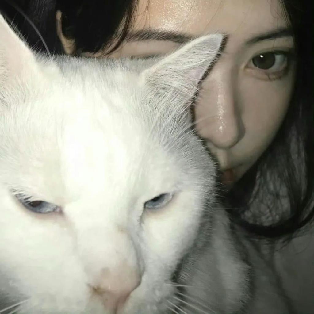 木又寸