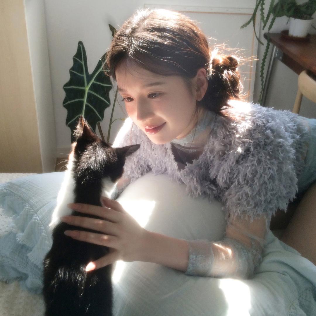 狸猫小岛⋆꙳🐈