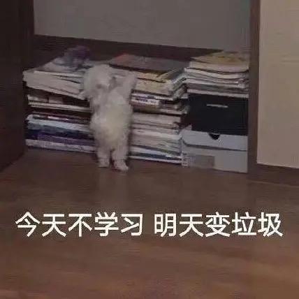 胡萝卜🥕