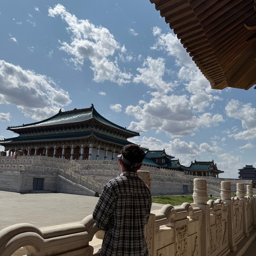 李Z杨
