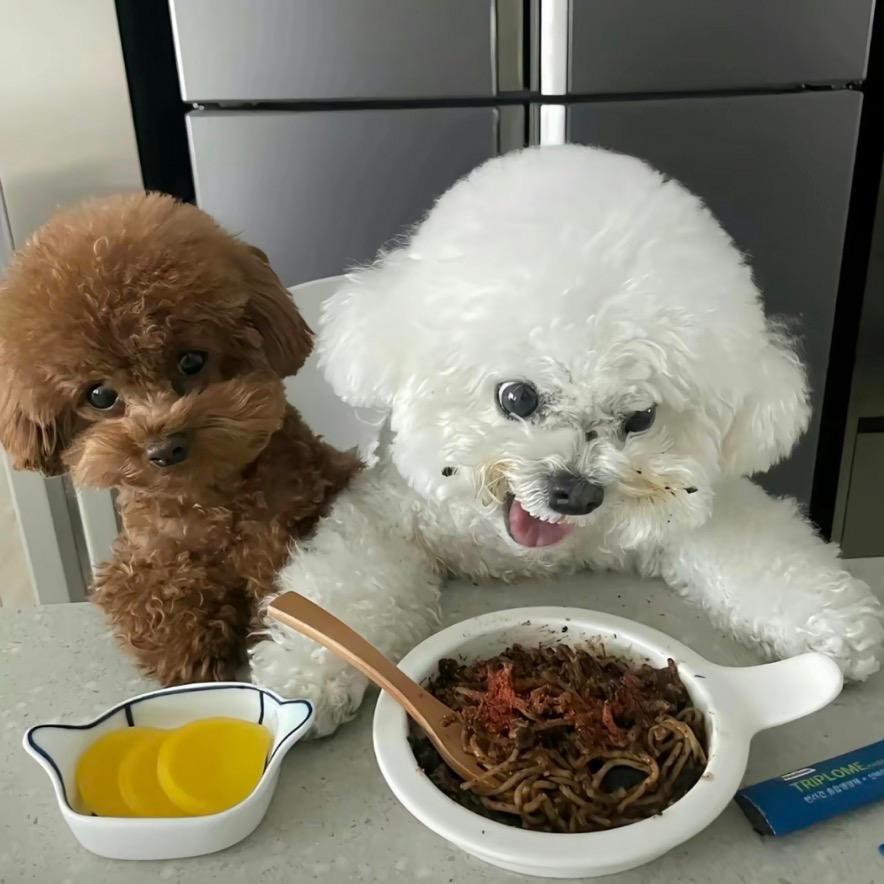 丸子..