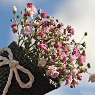 CC😘