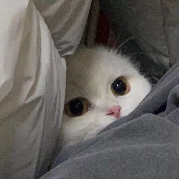 精装修