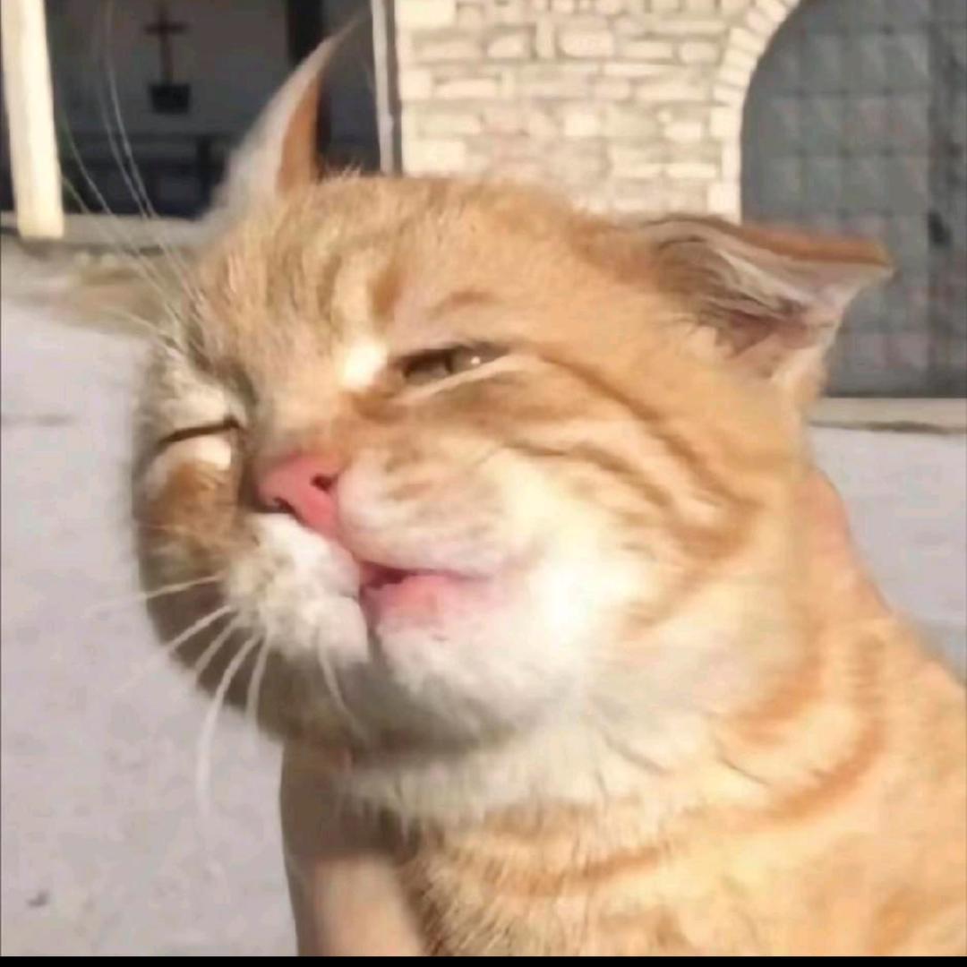白度过