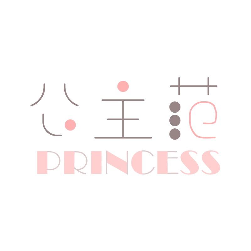公主范数码