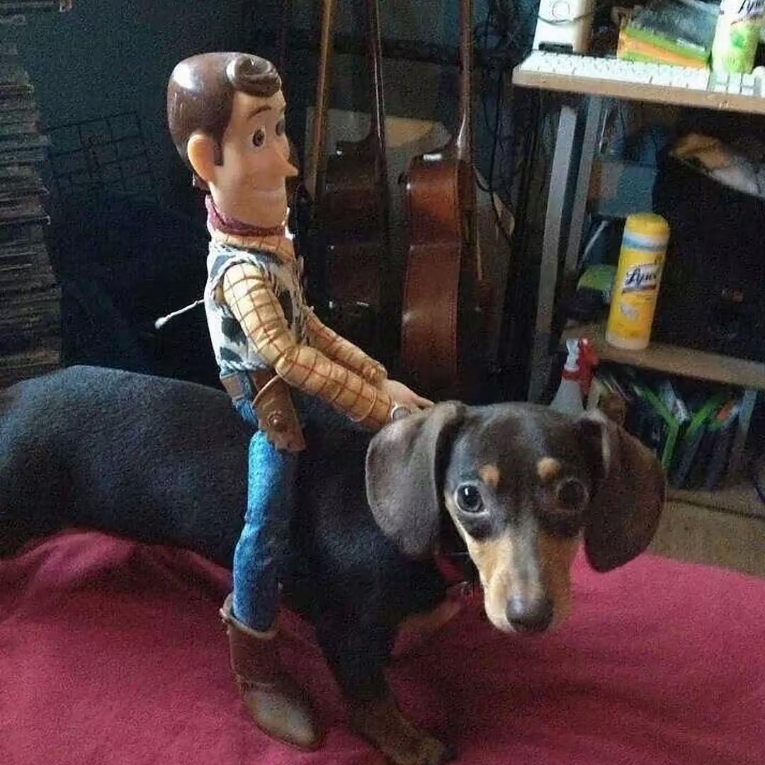 米米鼠