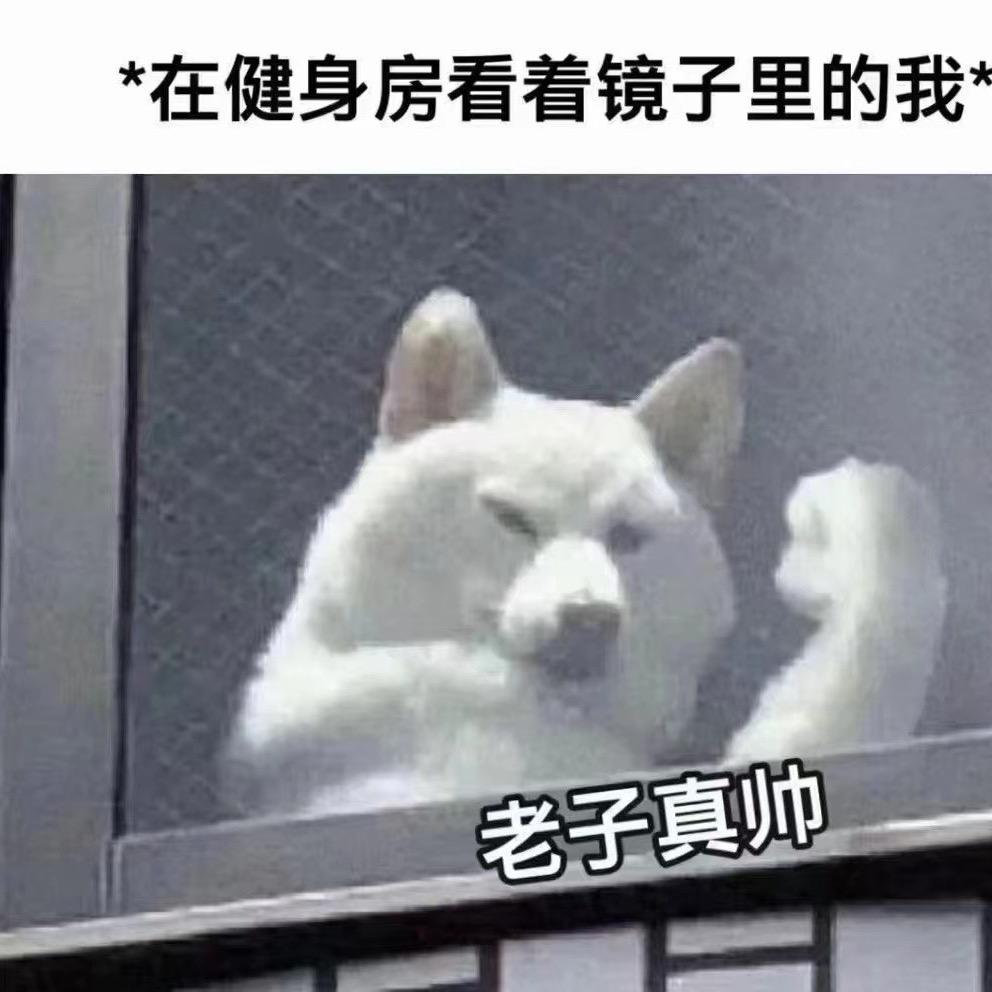 段炼健身