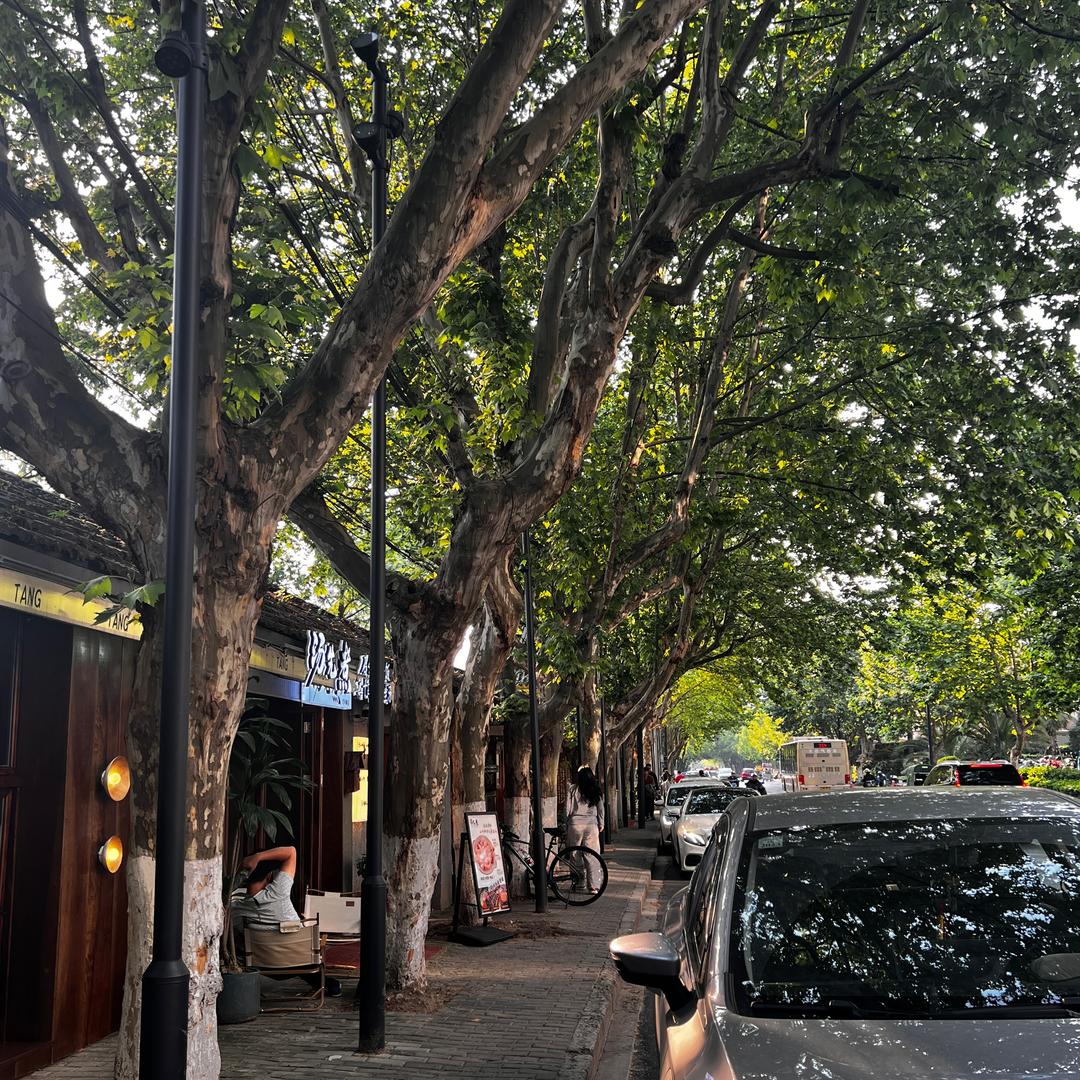 嗯😐