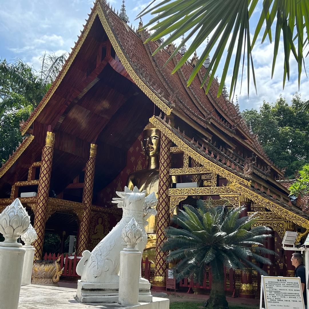 @ 💗᭄归零🕊꯭᭄꯭ꦿ