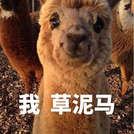 坐听松风寒