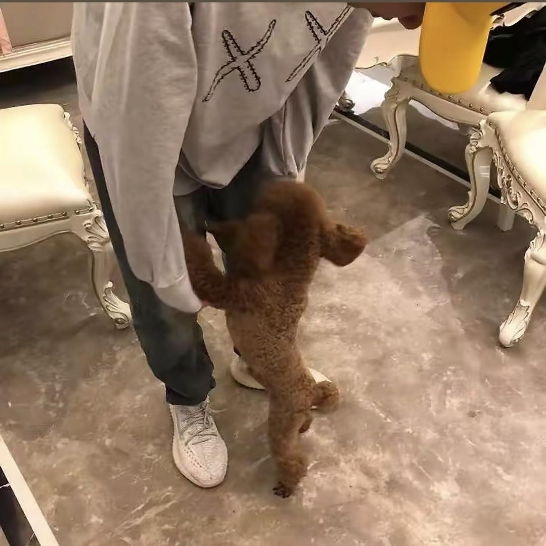 ￴￴￴ ￴￴   ￴ ￴ ￴￴￴