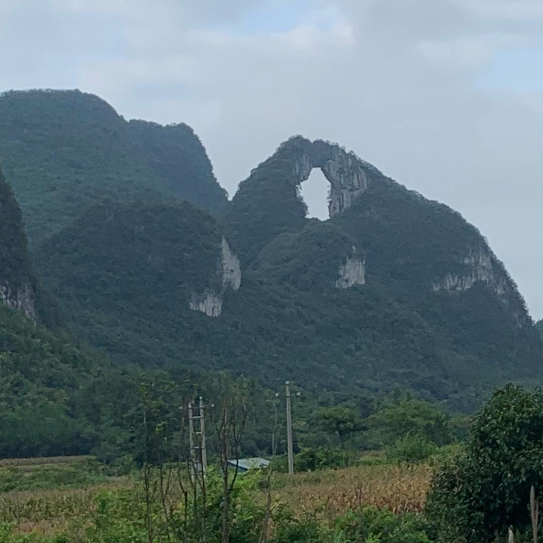 《幸运🍀》