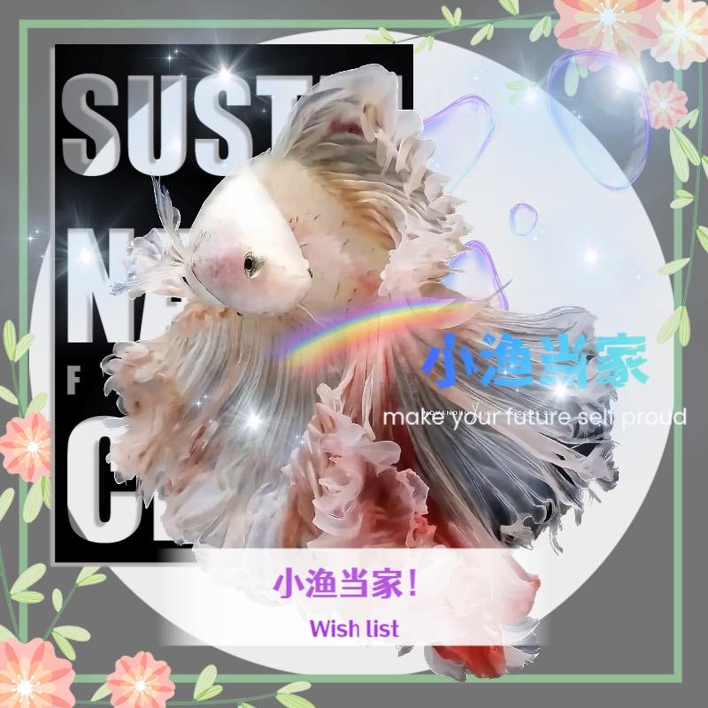 小渔当家渔业