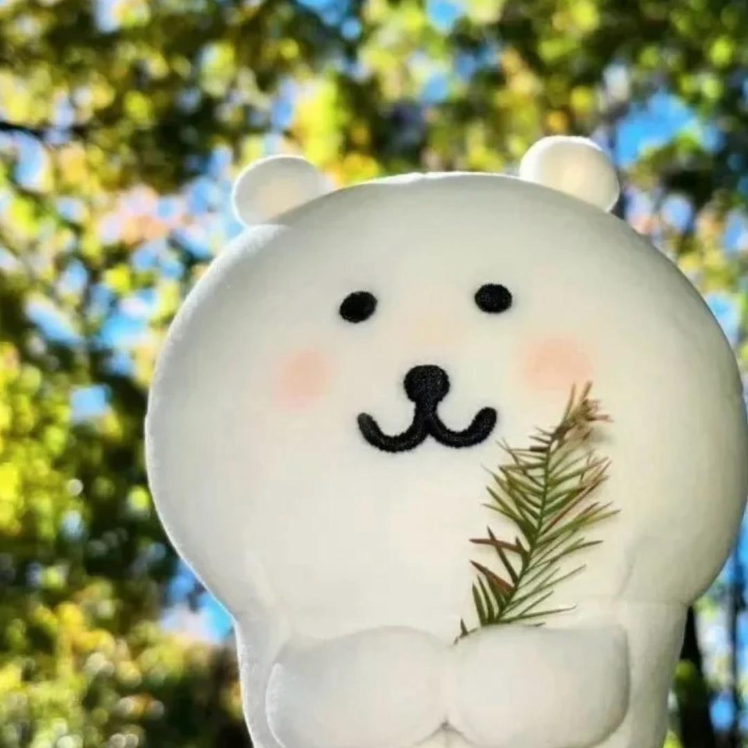 美美大王