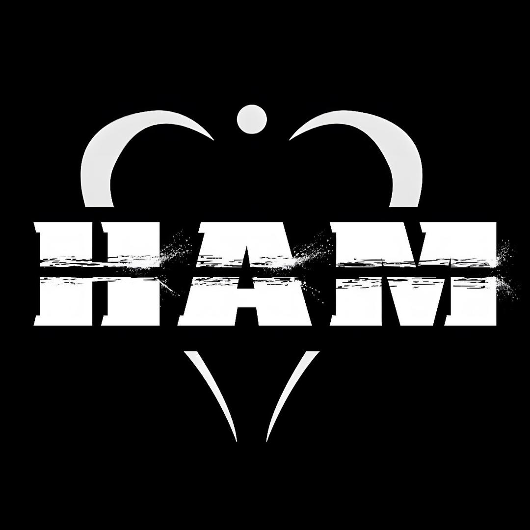 HAM 悍姆篮球