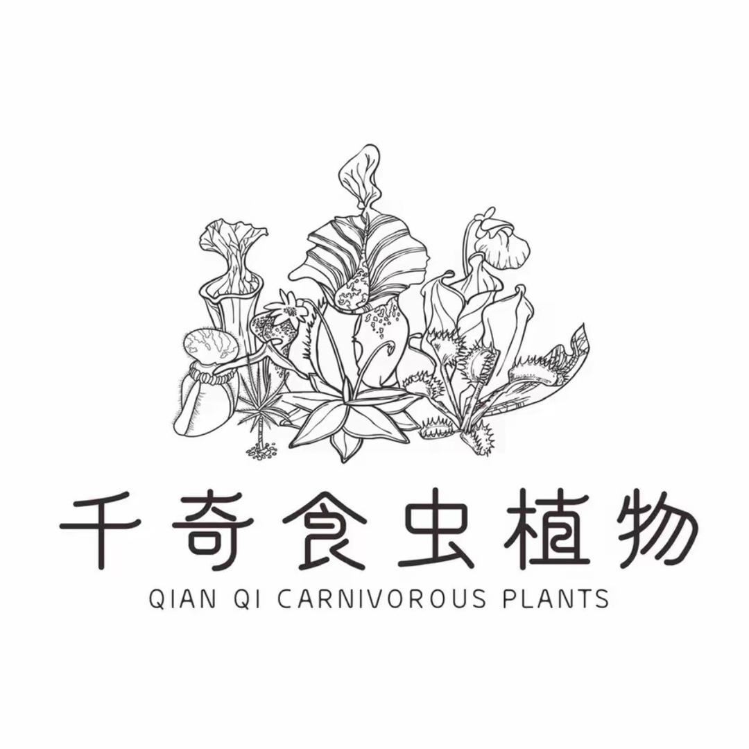 怪弟弟的食虫植物