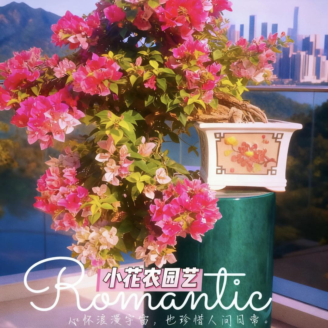 小花农园艺（三角梅）