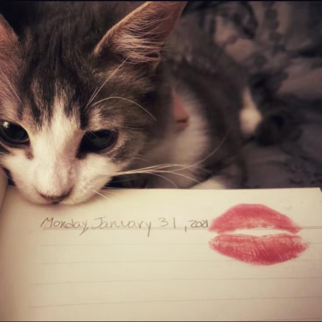 Tammy