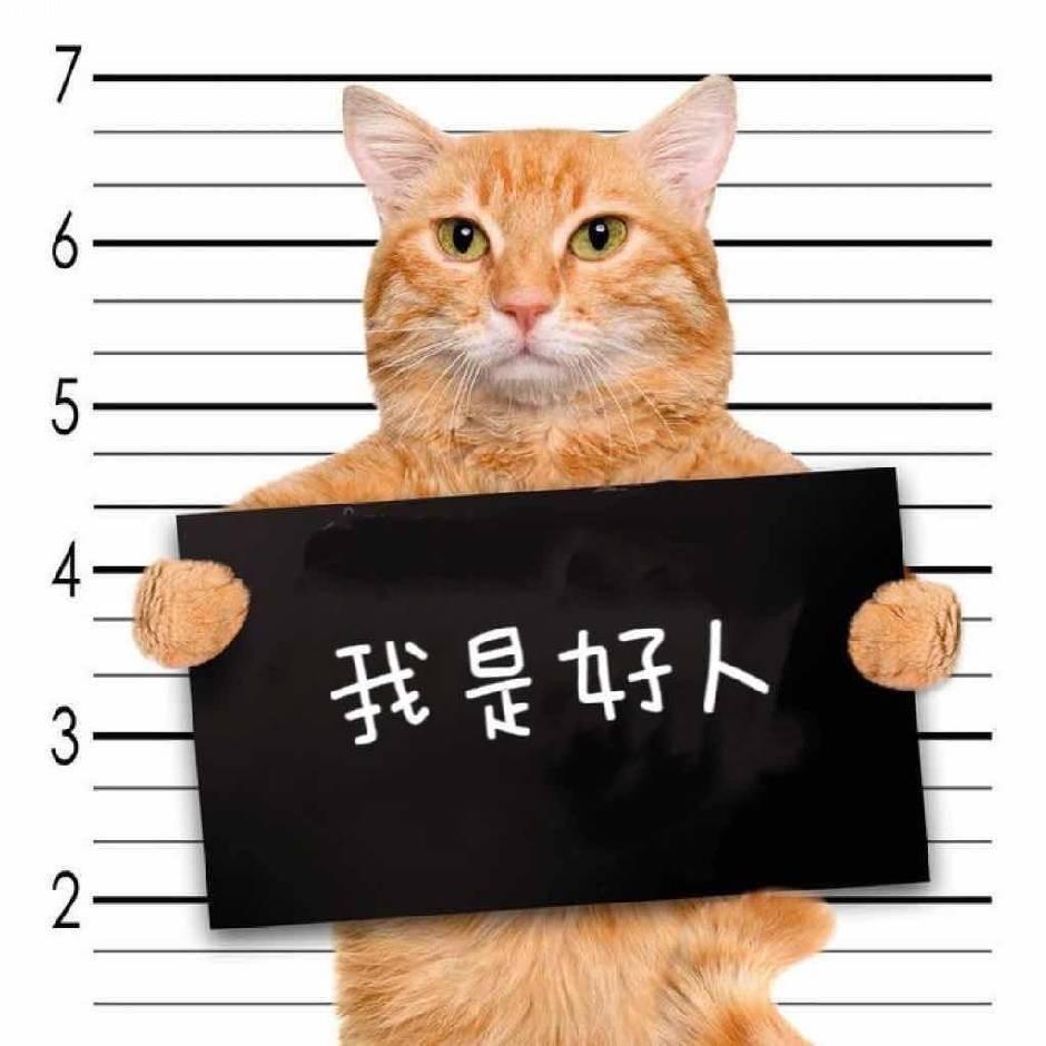在下睡不醒