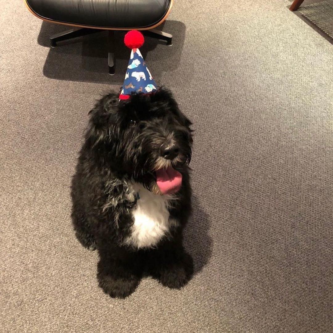 我爱吃鸡蛋灌饼