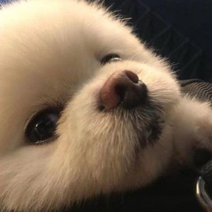 你好晴天🌞