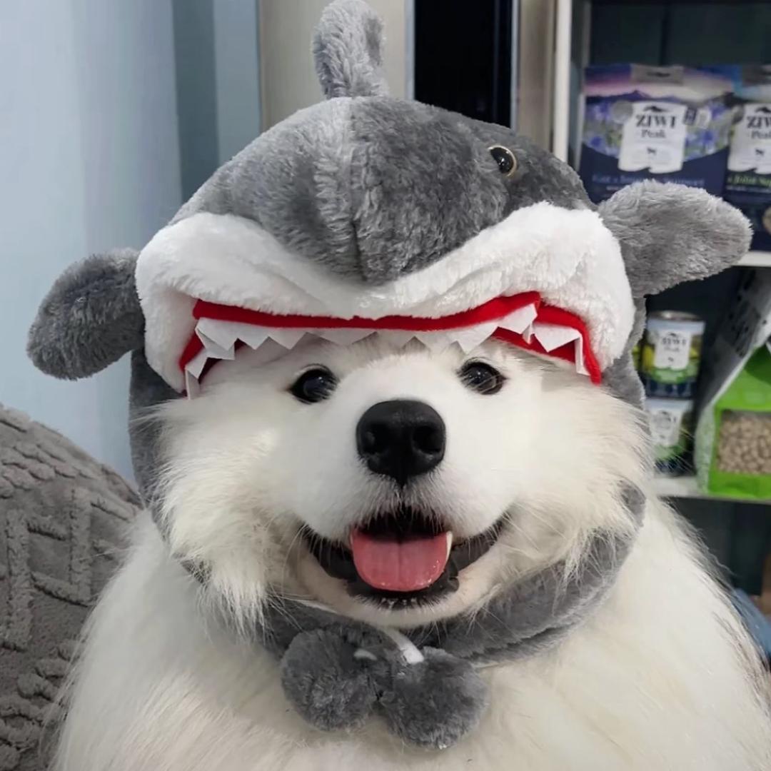 Yyyy（见过莎头版）