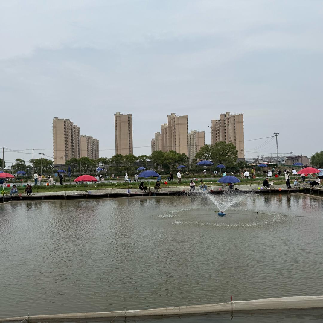 小葵花（宝妈）