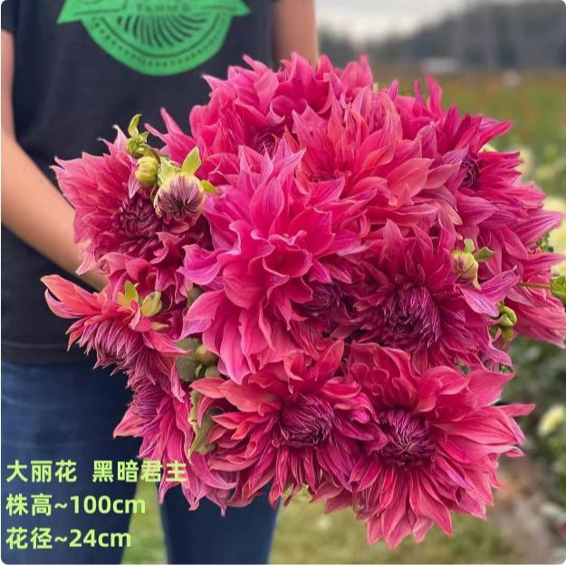 鑫浮果树苗木专营店